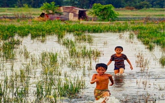 Mùa mưa thuở bé