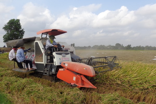 Tháo gỡ khó khăn trong liên kết sản xuất - tiêu thụ của hợp tác xã