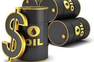 Giá xăng, dầu (14/6): Tạm ngừng lao dốc