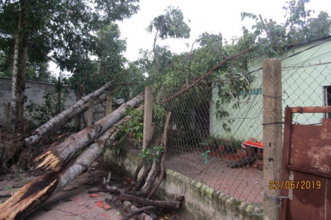 Châu Thành: Mưa giông, lốc xoáy làm 7 căn nhà bị hư hại