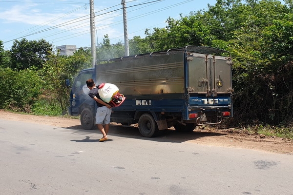 Đẩy mạnh công tác phòng - chống dịch tả heo châu Phi