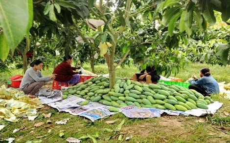 Thông tin kinh tế trong tỉnh