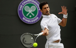 Djokovic lần thứ 12 vào vòng bốn Wimbledon