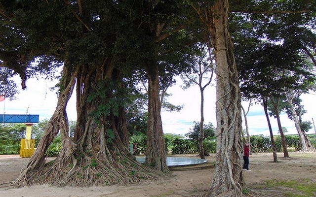 Long Giang- miền cổ tích Bến Cầu