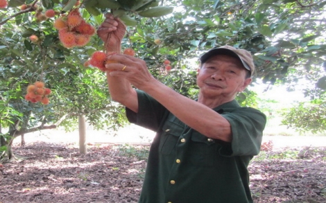 Tàn nhưng không phế