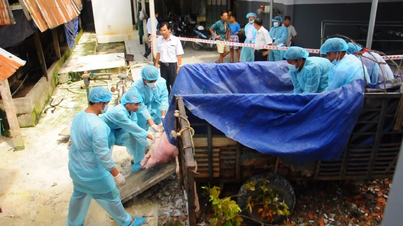 Hộ chăn nuôi phải chấp hành nghiêm quy định về bảo vệ môi trường