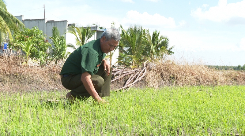 Thương binh Võ Văn Kiện: Tấm gương sản xuất, kinh doanh giỏi