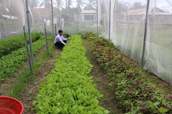 Bế giảng lớp chuyển giao mô hình “Trồng rau theo hướng hữu cơ”