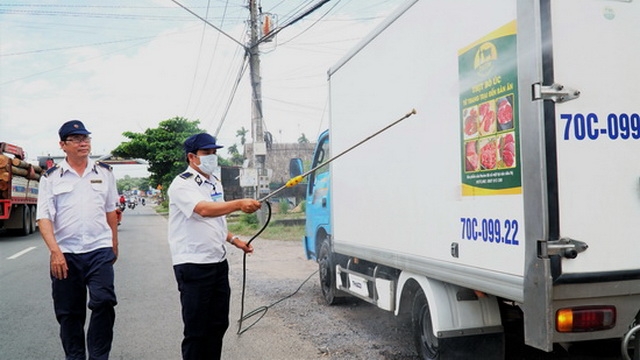 Mưa nhiều, ẩm độ cao là điều kiện lý tưởng để virus dịch tả heo châu Phi bùng phát