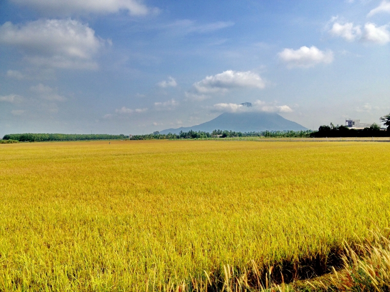 Thông tin kinh tế trong tỉnh