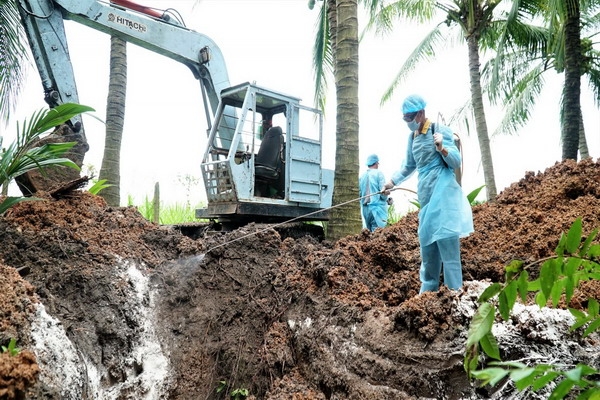 Công bố hết dịch tả heo châu Phi tại xã Thành Long