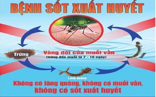 Tăng cường phòng chống bệnh sốt xuất huyết