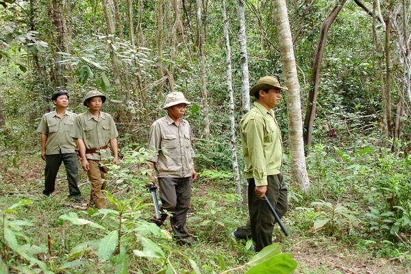 Thông tin kinh tế trong tỉnh