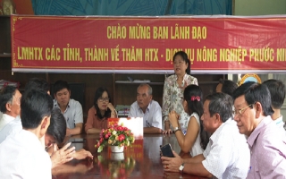 Các HTX khu vực phía Nam giao lưu, học tập tại HTX Phước Ninh