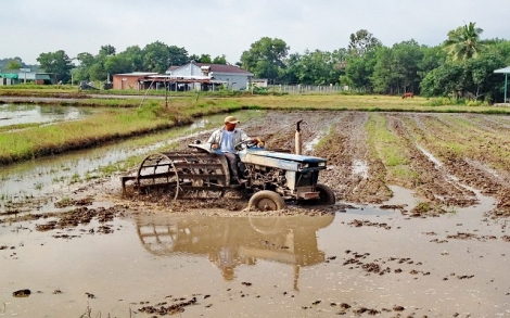 Thông tin kinh tế trong tỉnh