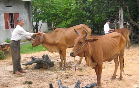 Thông tin kinh tế trong tỉnh