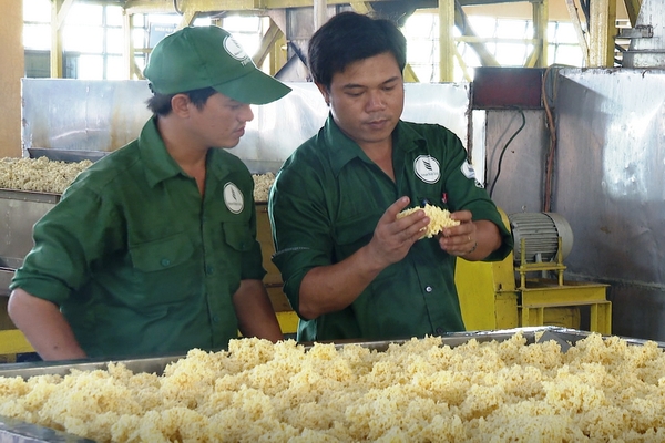 Thanh niên tiêu biểu, sáng tạo trong sản xuất