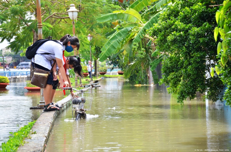 Nhớ một mùa khai giảng…