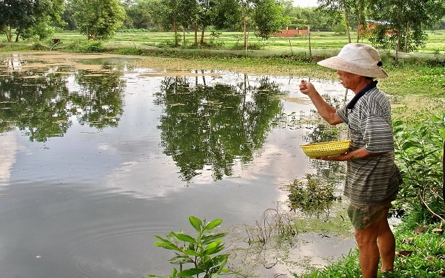 Thông tin kinh tế trong tỉnh