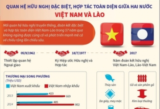 Quan hệ hữu nghị đặc biệt, hợp tác toàn diện giữa hai nước Việt-Lào