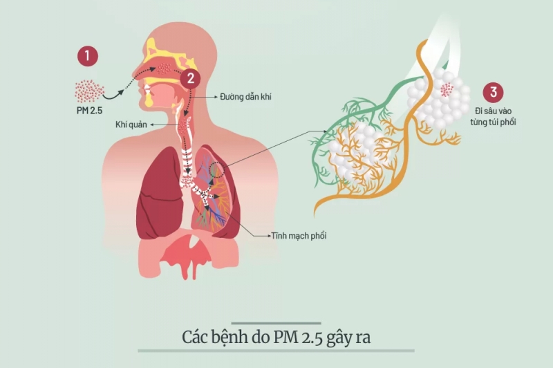 Tác hại của bụi siêu mịn trong không khí