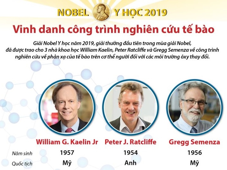 Giải Nobel Y học 2019 vinh danh công trình nghiên cứu tế bào