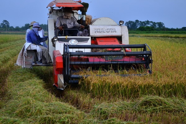 Cần xây dựng niềm tin giữa doanh nghiệp và nông dân