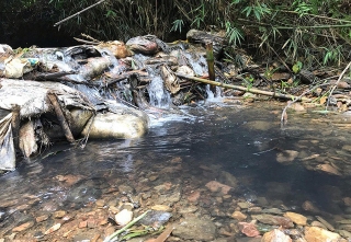 Khởi tố vụ án đổ dầu thải gây sự cố nước sạch sông Đà