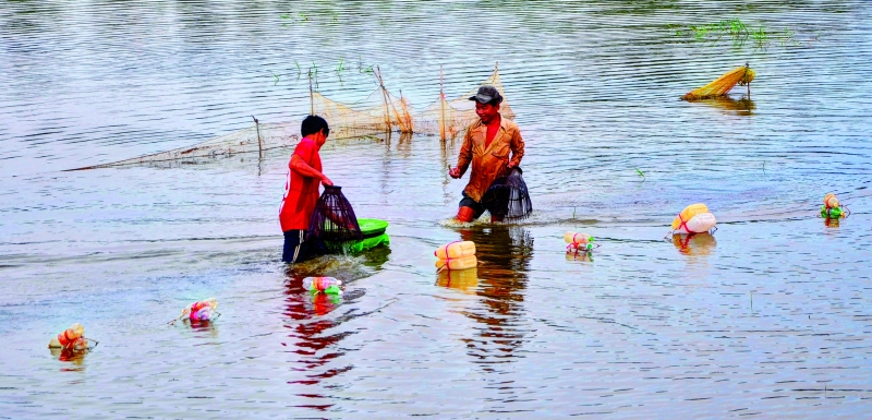 Những mùa mưa dầm