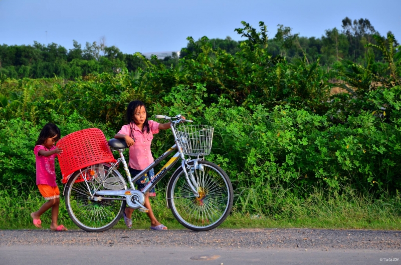 Vườn của ngoại