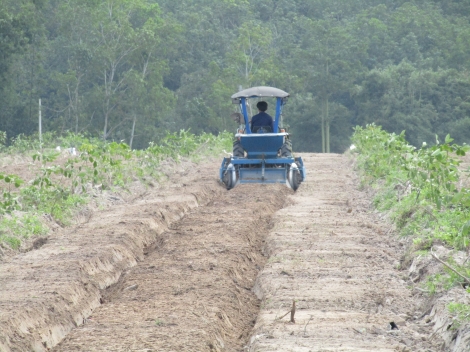 Xây dựng mô hình thâm canh tổng hợp, áp dụng cơ giới hóa sản xuất đậu phộng tại Thạnh Đức