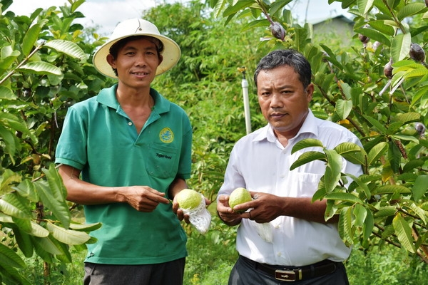 Nhà nông còn khó đủ đường