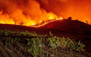 California ban bố tình trạng khẩn cấp vì cháy rừng lan rộng