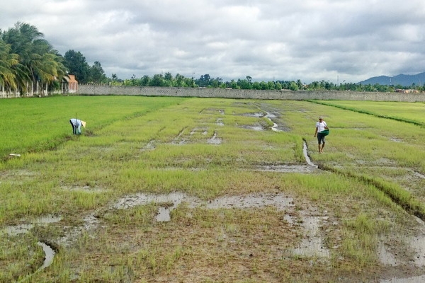 Thông tin kinh tế trong tỉnh