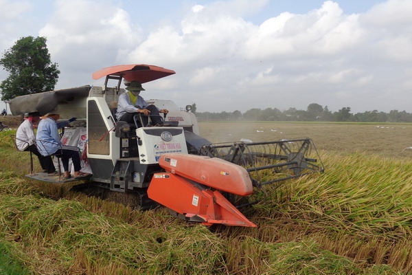 Khuyến khích doanh nghiệp đầu tư vào nông nghiệp