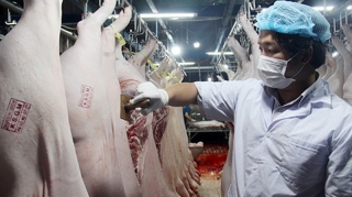 Liên Bộ họp khẩn tìm cách “hạ nhiệt” giá thịt lợn