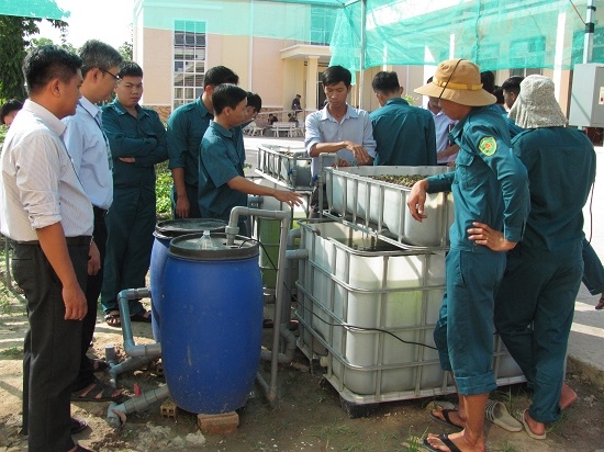 TP.Tây Ninh: Triển khai và nghiệm thu mô hình Aquaponics