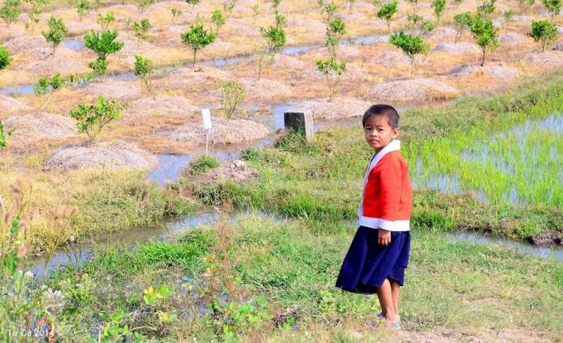 Mùa Đông hồi đó