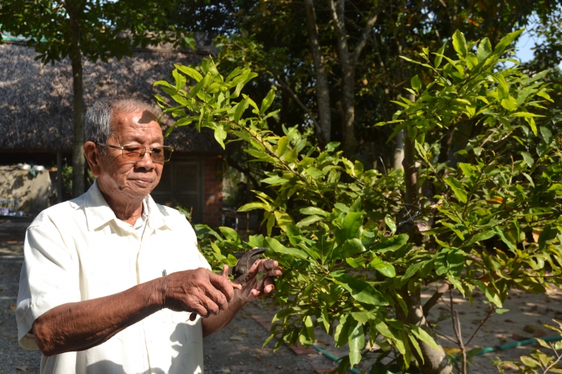 Cựu chiến binh gương mẫu.