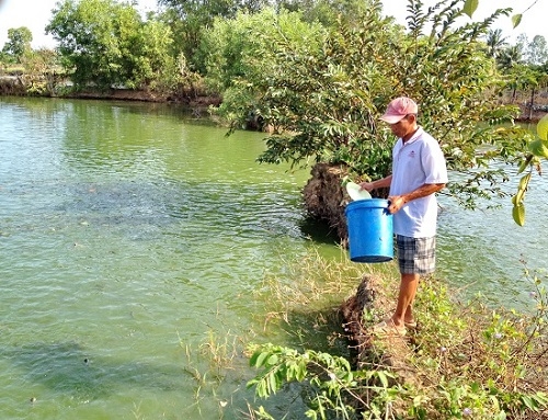 Thông tin kinh tế trong tỉnh