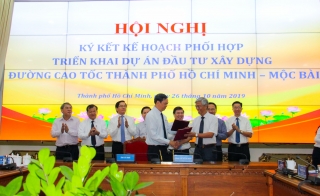 Những mảng màu rực rỡ12