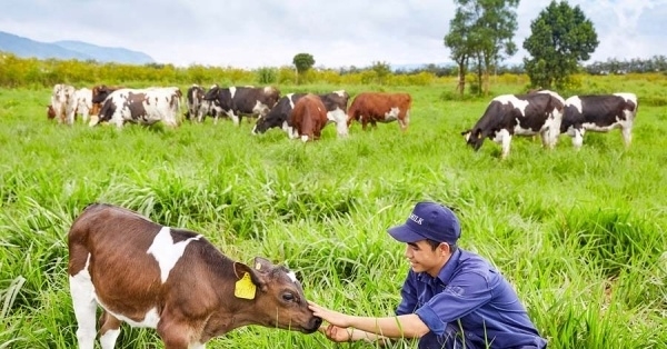 Hàng loạt chính sách có hiệu lực từ đầu năm 2020