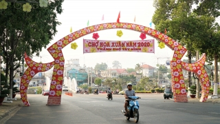 TP.Tây Ninh: Khai mạc chợ hoa Xuân Canh Tý 2020
