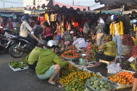 Nhộn nhịp từ thành thị đến nông thôn