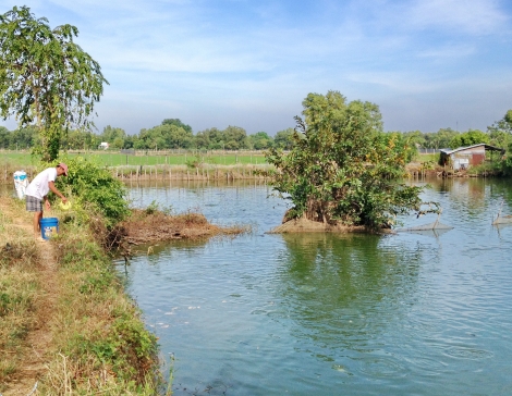 Thông tin kinh tế trong tỉnh