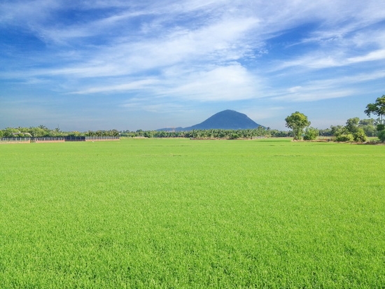 Thông tin kinh tế trong tỉnh