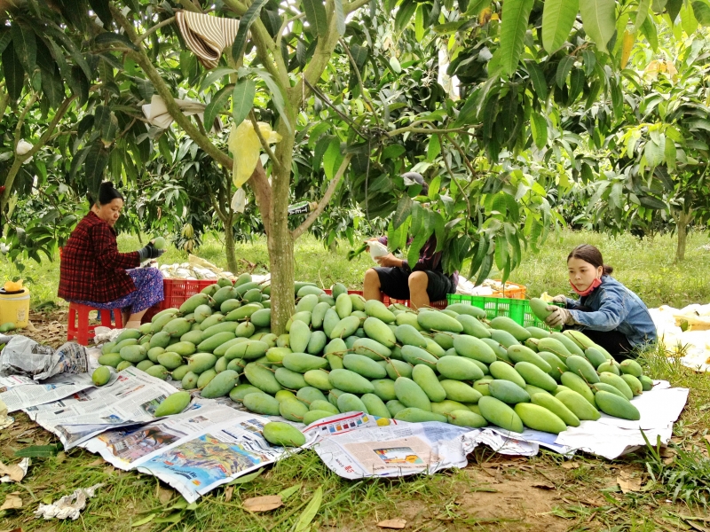 Thông tin kinh tế trong tỉnh