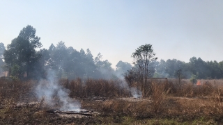 Cháy cỏ khô ở khuôn viên Trường CĐSP Tây Ninh