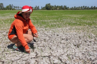 Chuyên gia Mỹ: 'Trung Quốc có thể giữ 50% nước Mekong vào mùa khô'