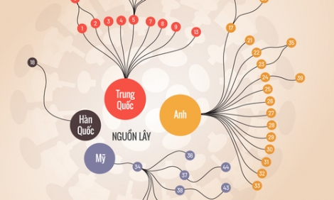 Mối liên hệ giữa các ca Covid-19 ở Việt Nam